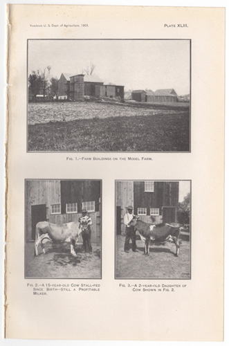 model farm buildings